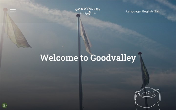 Podgląd strony Goodvalley.com